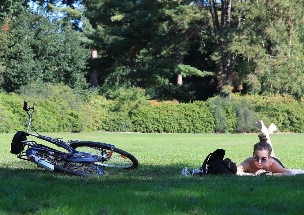 Eine Frau liegt auf einer Wiese und liest; neben ihr liegt ein Fahrrad